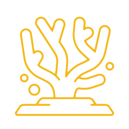 Healthy Marine Life icon